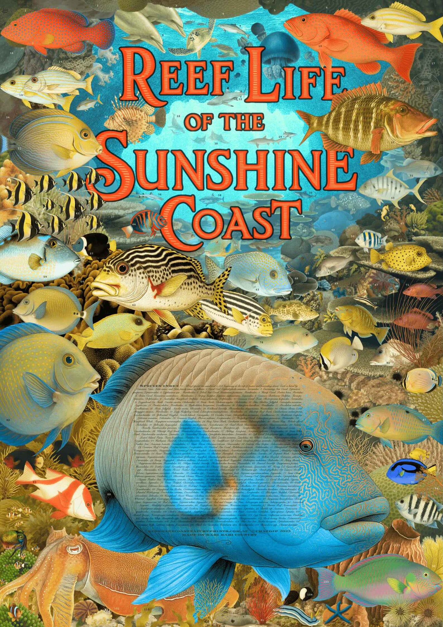 Reef Life of the Sunshine Coast poster featuring 112 native vertebrate and invertebrate marine species illustrated in a scientific naturalist style.