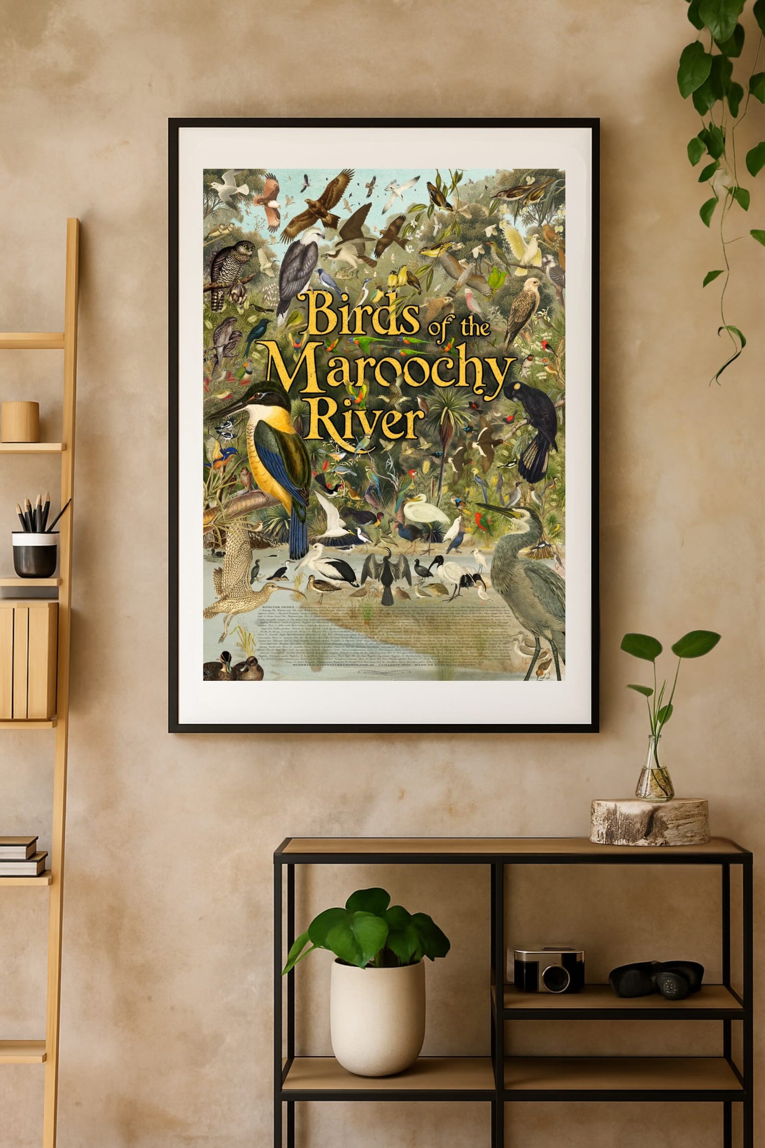 Framed artwork of native birds, titled ‘Birds of the Maroochy River’ displayed on a beige textured wall, with wooden shelving, plants, and a minimalist Scandinavian interior setting.