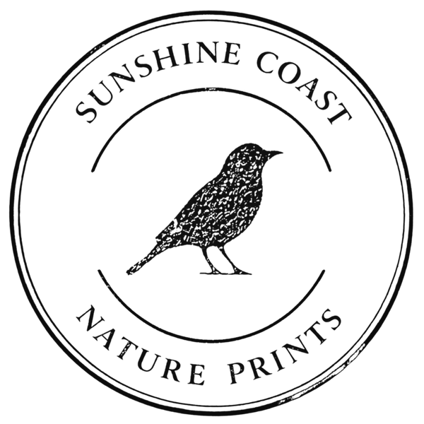 Sunshine Coast Nature Prints
