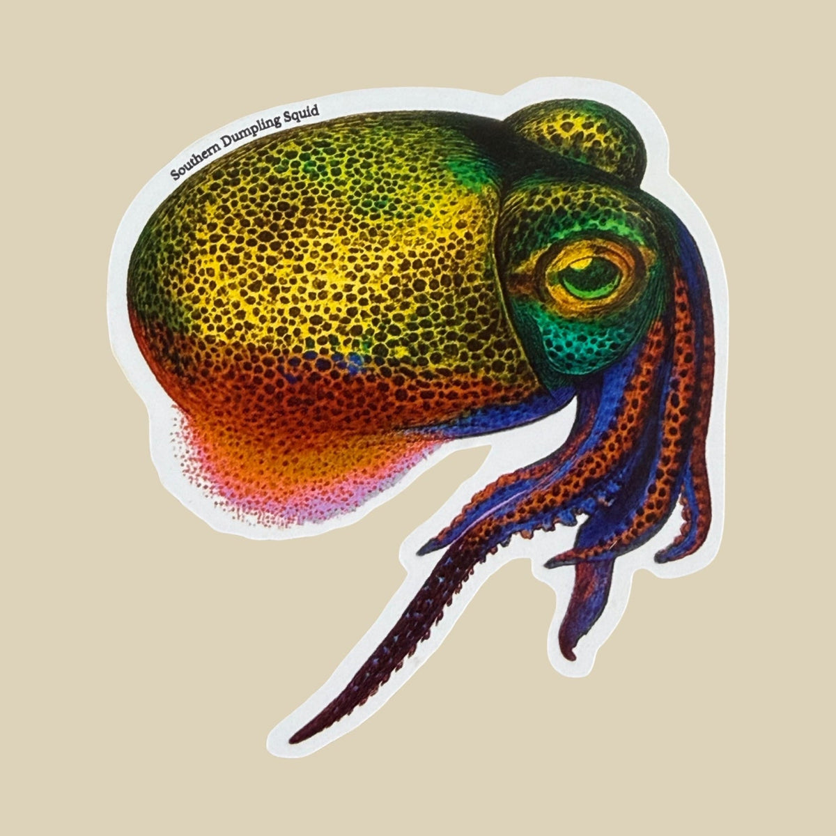 A die-cut sticker featuring a detailed illustration of a Southern Diving Squid with vibrant yellow, green, orange, and purple tones, displayed on a solid beige background.